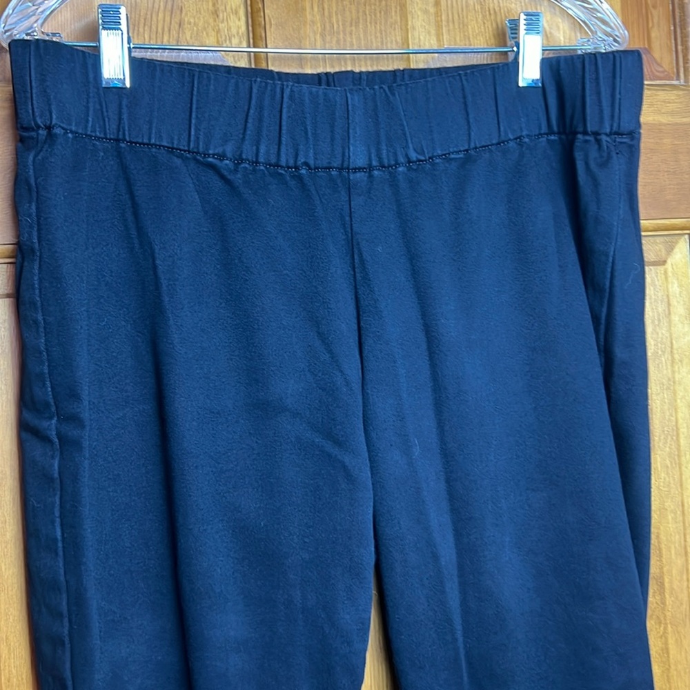 Women's Soft Surroundings Petite Large Black Elastic Waist Pants